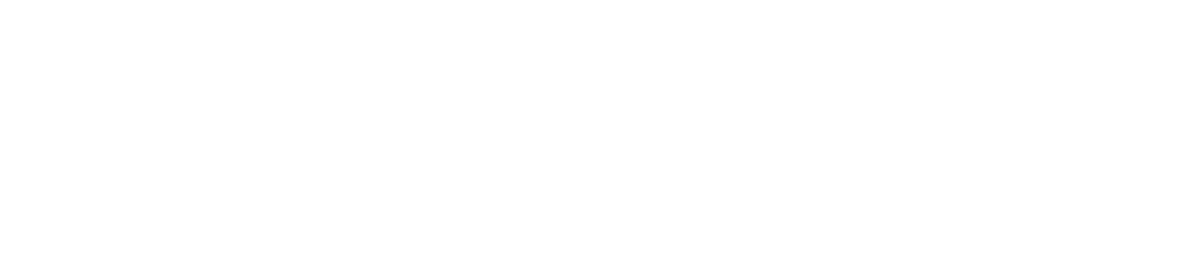 Storage of America